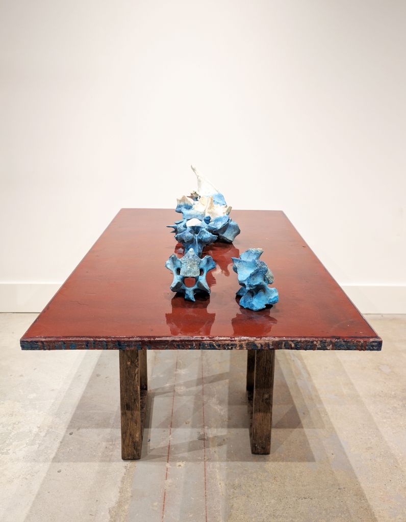 A shiny red table with blue vertebrae resting on top.