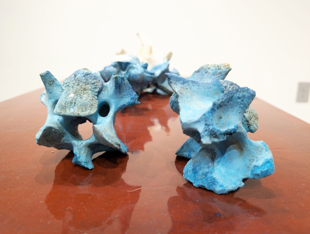 A shiny red table with blue vertebrae resting on top.