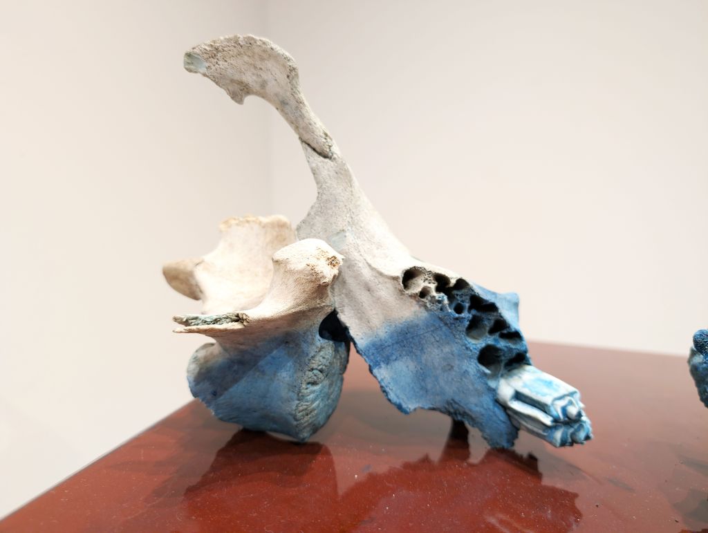 A shiny red table with blue vertebrae resting on top.