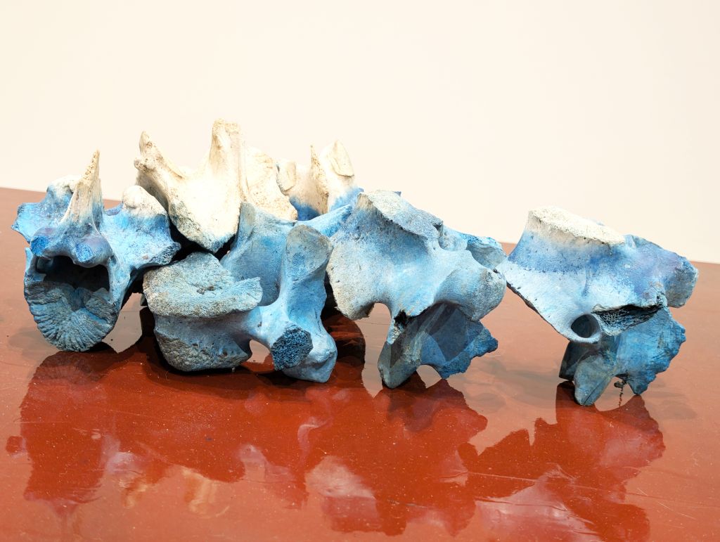 A shiny red table with blue vertebrae resting on top.